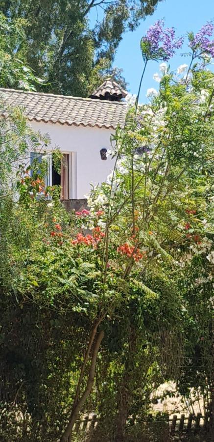 Casa El Soto Villa Vejer de la Frontera Bagian luar foto